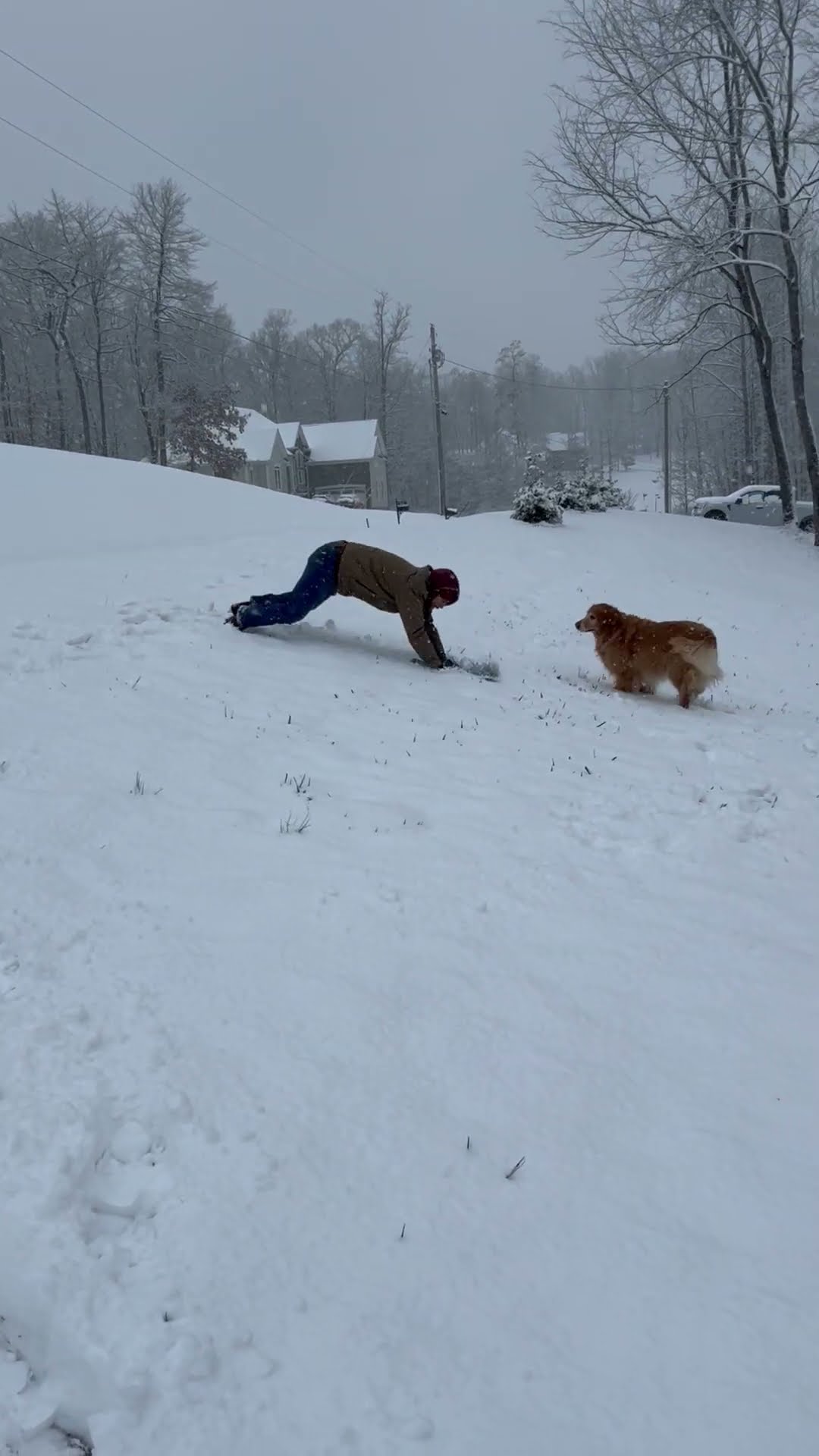 Man Sleds Into Snow Face First || ViralHog