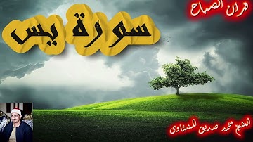سور يس للشيخ محمد صديق المنشاوى#تلاوة_خاشعة #quran #قران_كريم #المنشاوي_عبد_الباسط_عبد_الصمد