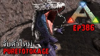 ARK: Survival Evolved EP#386 จับตัวใหม่กลิ้งได้ลุยได้มีไฟ Tame puretotokage