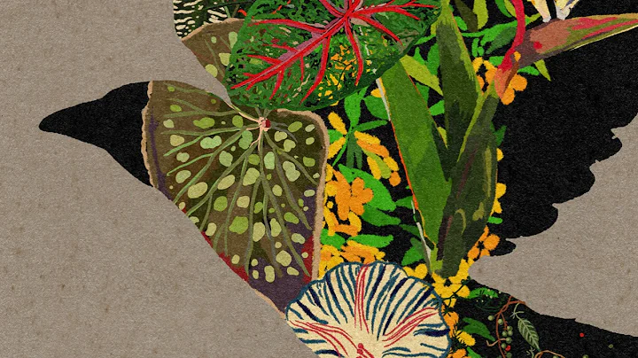 Suzanne Ciani - 'Morning Spring' (Official Audio)