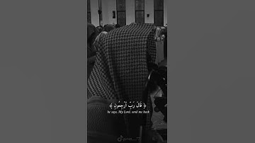 تلاوة هادئة تريح الاعصاب 🎧 حالات واتس اب قرآن ❤️ قرآن كريم