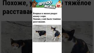 Мемы #Мем #Memes #Мемы #Meme #Лютыеприколы #Приколы