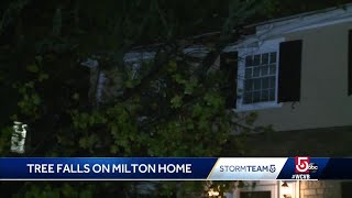 Tree falls on home in Milton