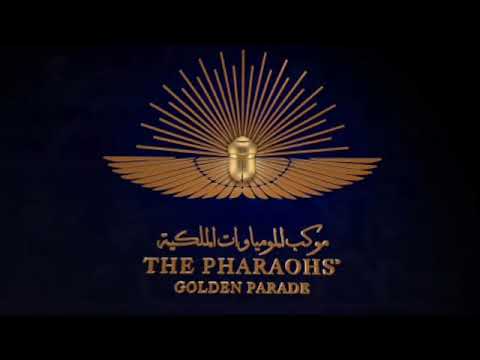 عزف كمان سلمى سرور ال