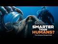 The Octopus Escape Code 🐙 | Real Deep-Sea Intelligence Caught on Camera (Smarter Than Humans?) #ai