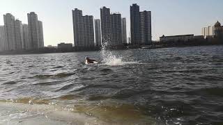 VID 20190129 142722