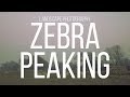 Using Zebra Peaking On The Sony A6000 For Landscape Photography