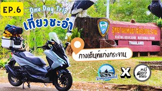 EP.6 One day trip ชะอำ กางเต็นท์แก่งกระจาน l น้องสายหมอก x หนีแมวเที่ยว