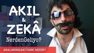 Akil Ve Zekâ Nerdengeliyo? Akıl Ile Zekâ Arasındaki Fark Kelime Kökenleri