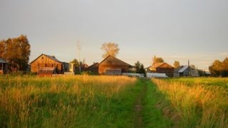 Утро в деревне: Троицкое (Вашкинский район)