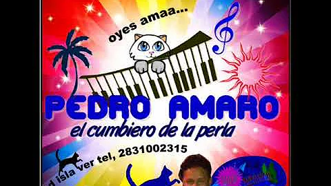 disco completo p a pedro amaro ysus teclados