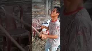 Download Lagu VIRAL..pemain gondang lucu  .sangat menyenangkan. MP3 Download Lagu VIRAL..pemain gondang lucu  .sangat menyenangkan. MP3