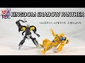 Transformers Review: WFC Kingdom Shadow Panther