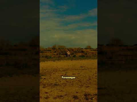 "Purosangue" Fuori Ora #rap #trap #hiphop