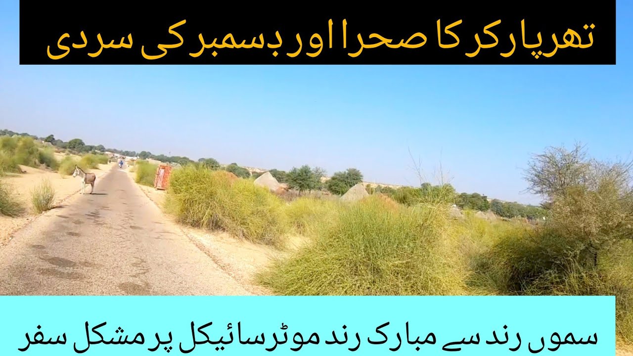 Aslam Rind Village Mubrak Rind Chachro beautiful village Thar Desert Dr Aslam Rind ...