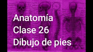 Anatomía Clase 26 - Dibujo de pies