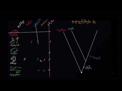 ფილოგენეზური ხის გაგება და აგება