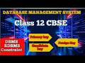 Database Management System class 12(DBMS)