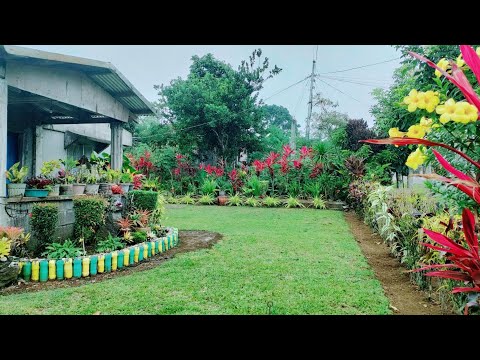 Video: Flamentanz - climbing rose para sa disenyo ng landscape. Paano palaguin ang iba't ibang ito sa iyong likod-bahay?