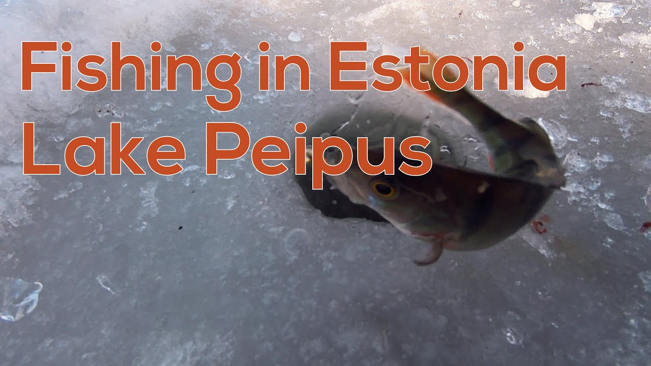 Fishing in Estonia on Lake Peipus