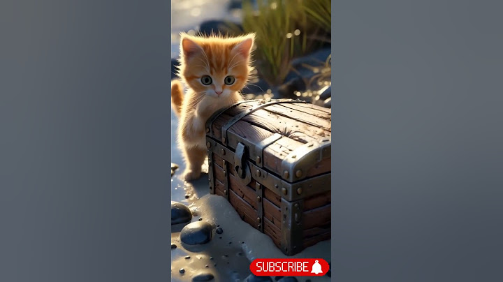 Kitten Finds Hidden Gold Chest!  😱 💰 #ai #cat #aicreated #cute  #funny #animals #cutecat