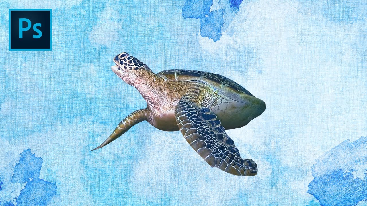 Photoshopチュートリアル 水彩を泳ぐウミガメ 01 Nexout