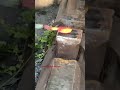 Traditional grated coconut #metalwork #steel #forgedfromiron #blacksmith #handmade