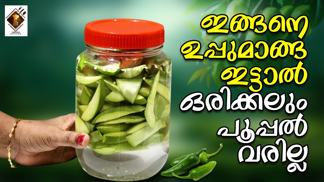 ഇങ്ങനെ ഉപ്പുമാങ്ങ ഇട്ടാൽ ഒരിക്കലും പൂപ്പൽ വരില്ല | Salted Mango | Manga Uppilittathu #tips