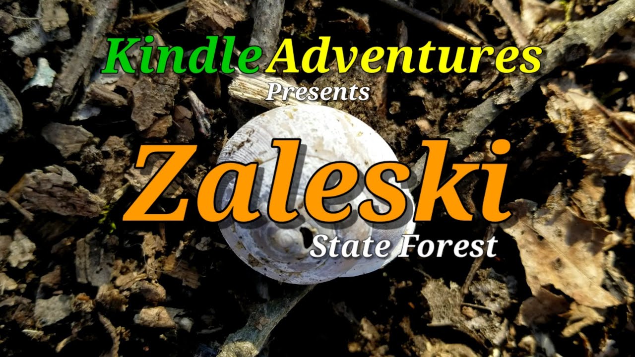 Zaleski State Forest YouTube