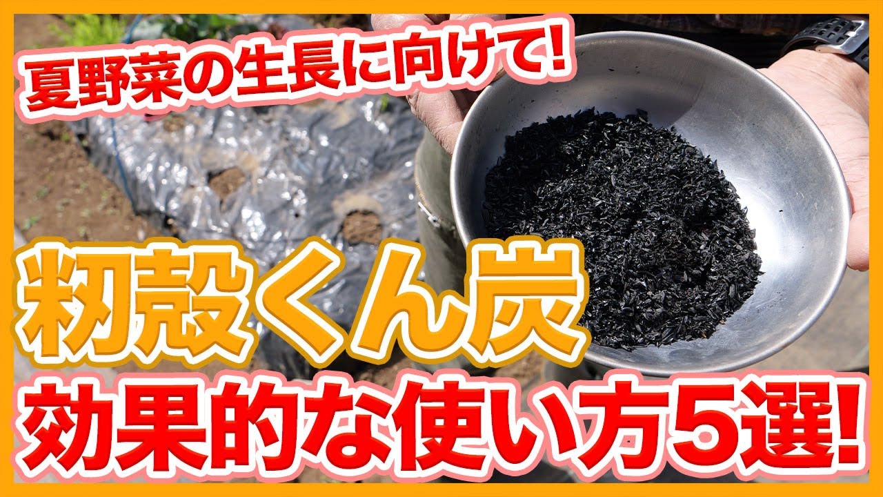 家庭菜園や農園栽培で夏野菜の生長促進しながら害虫対策も可能！？籾殻くん炭の使い方5選！【農家直伝】Tips for soil improvement using rice husk charcoal.