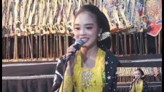 Download Lagu Mega Prastiwi bersama Tunggul Pawenang.Dalang Ki Dani Irawan MP3