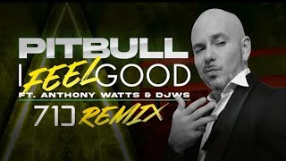 Pitbull Ft. Anthony Watts & DJWS - I FeelGood 71J Remix (Visualizer)