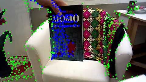 momo, segmentation -- Motion Segmentation of RGB-D Videos via Trajectory Clustering