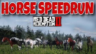 I Tried To Speedrun Getting All Horses In RDR2