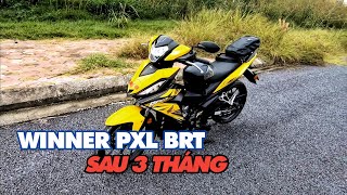 Winner 150 PXL BRT sau 3 tháng sử dụng | BeePro