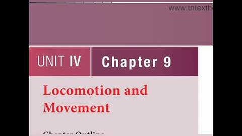Locomotion and movement part 2