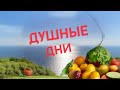 Душные дни //Докторская колбаса // Заметки на скамейке