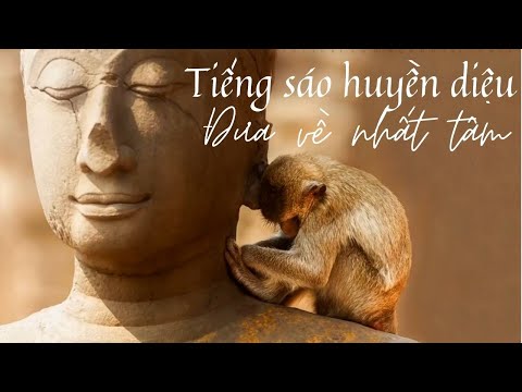 Video Tiếng sáo Huyền diệu đưa về Nhất tâm - youtube