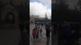 מועדים לשמחה 🥰, תפילה  חג במקום הכי משמח בעולם .....