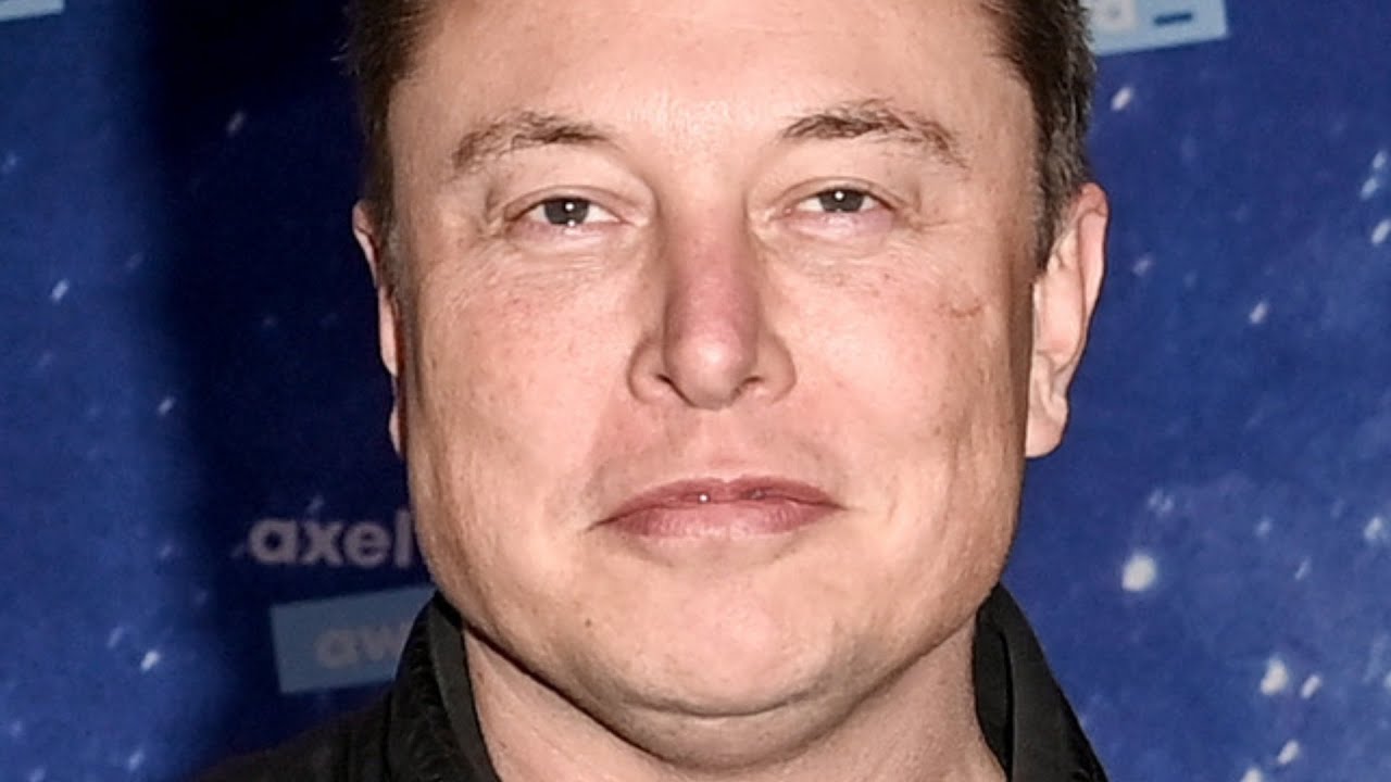 Stars Who Can't Stand Elon Musk