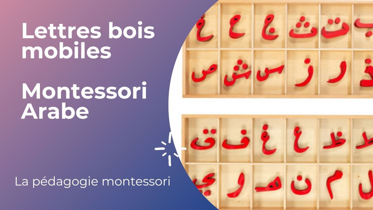 lettres mobiles bois (montessori arabe 2023)