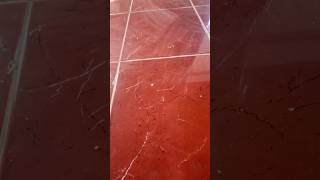 Shiny Red Tiles That Transform Any Space!