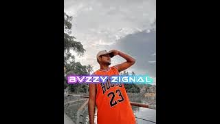 !!!! 💋BVZZY_ZIGNAL_RMX_2026🎧