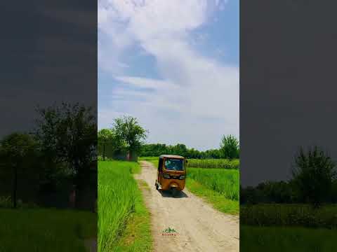 لار شه ننگرهار آهنگ پشتو احمد ظاهر 