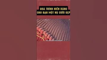 CÁCH LÀM CHO BẠN CÓ MỘT NỤ CƯỜI ĐẸP