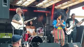 In The Pines By Bearaxe