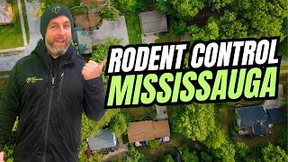 Mississauga Rodent Control by Pest Protection Plus!