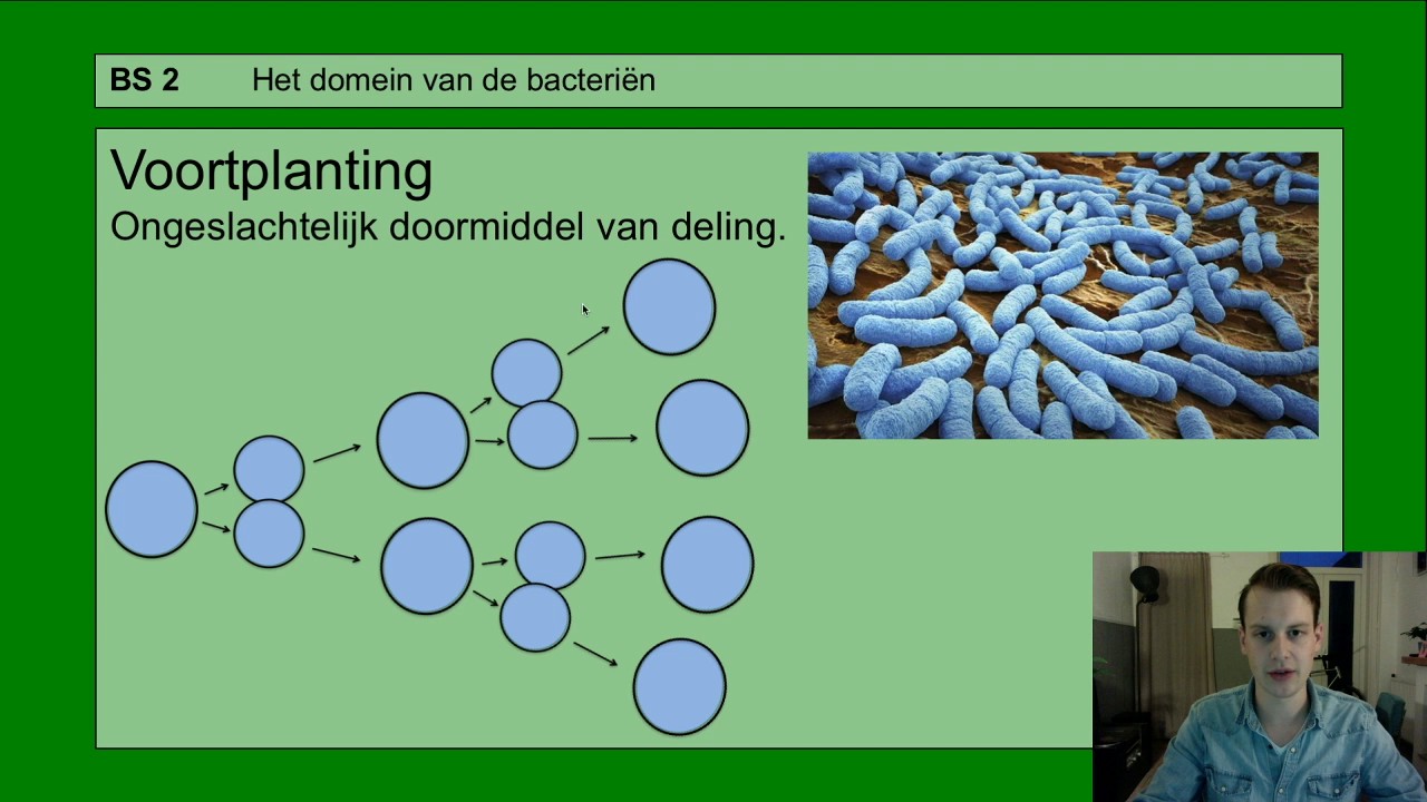 Basisstof 2 Het domein van de bacteriën - YouTube