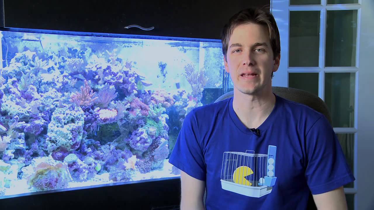 how to videos on tiktok Mr. Saltwater Tank TV Friday AM Quick Tip #13: Cuts Like a Knife