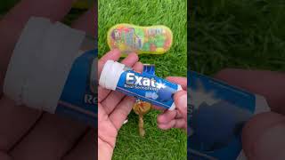 Orange Kitten Takes A Mud Bath comedy cat cute catlovers cutecat pets funny